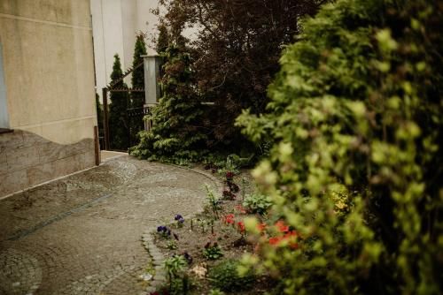 Outdoor Pictures 5