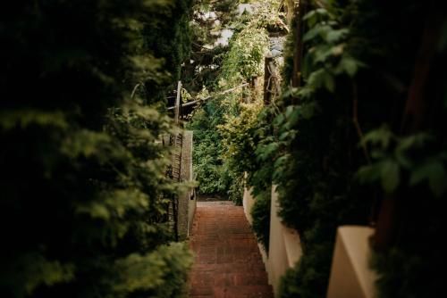 Outdoor Pictures 14