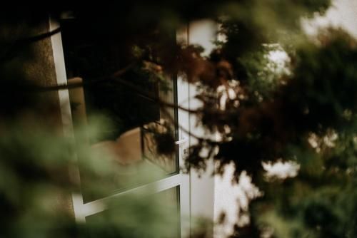 Outdoor Pictures 15