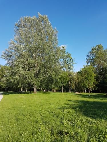 Outdoor Pictures 6