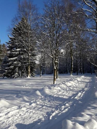 Outdoor Pictures 15