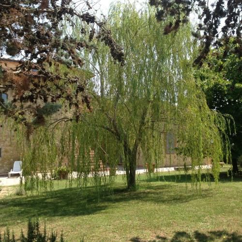 Outdoor Pictures 16