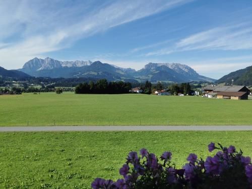 Outdoor Pictures 7