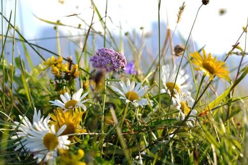 Outdoor Pictures 7