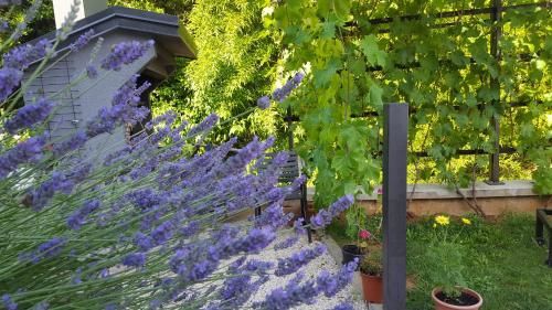 Outdoor Pictures 23