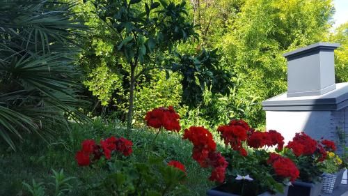 Outdoor Pictures 24