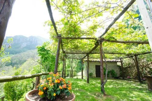 Outdoor Pictures 22