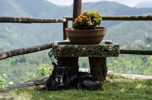 Outdoor Pictures 24