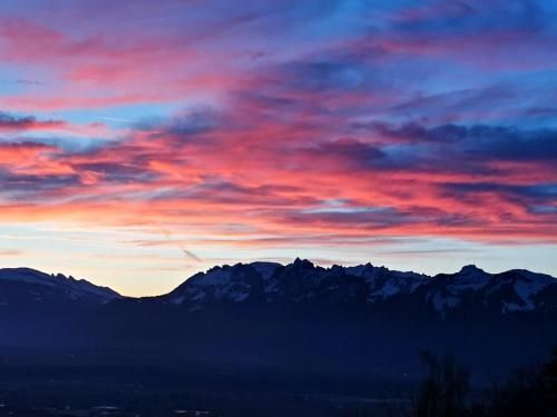 Outdoor Pictures 20