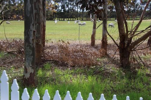 Outdoor Pictures 21