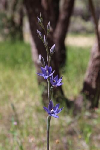 Outdoor Pictures 23