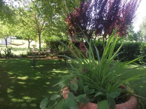 Outdoor Pictures 5