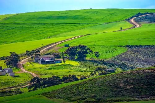 Outdoor Pictures 22