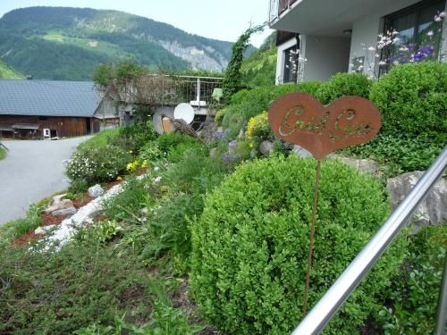 Outdoor Pictures 7