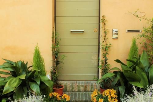 Outdoor Pictures 23