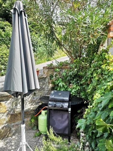 Outdoor Pictures 15
