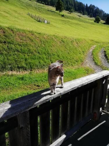 Outdoor Pictures 5