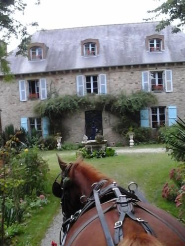 Outdoor Pictures 10
