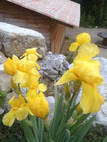 Outdoor Pictures 22