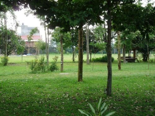 Outdoor Pictures 17