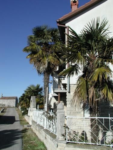 Outdoor Pictures 1