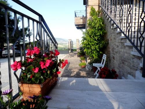 Outdoor Pictures 7