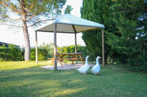 Outdoor Pictures 23