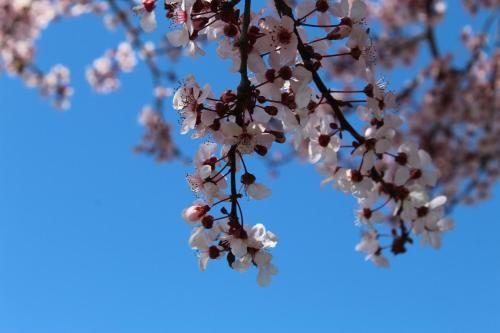 Outdoor Pictures 16