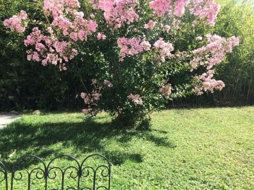 Outdoor Pictures 24