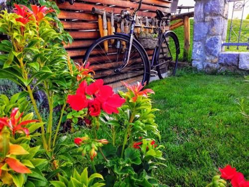 Outdoor Pictures 12