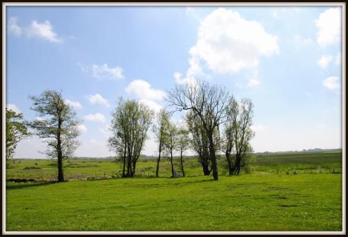 Outdoor Pictures 7