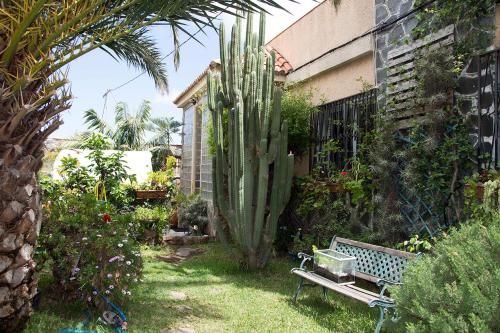 Outdoor Pictures 21