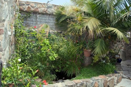 Outdoor Pictures 22