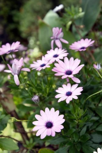 Outdoor Pictures 23