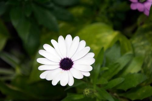 Outdoor Pictures 24