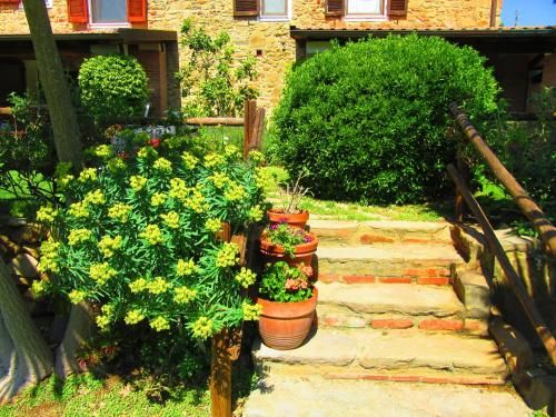 Outdoor Pictures 5