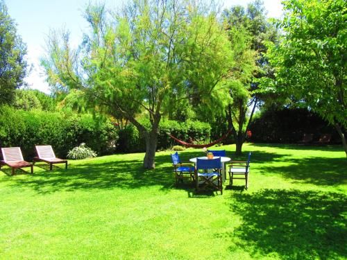 Outdoor Pictures 24
