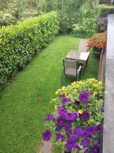 Outdoor Pictures 4