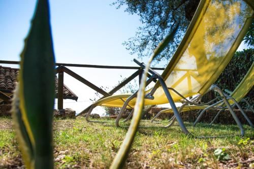 Outdoor Pictures 17