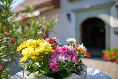 Outdoor Pictures 12