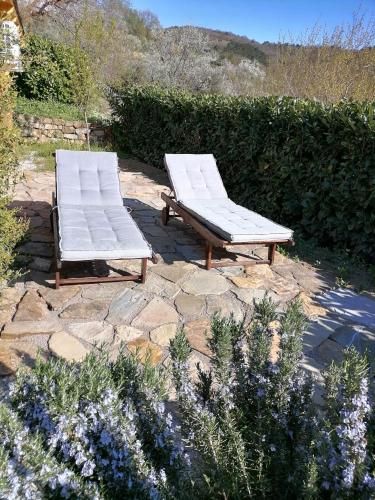 Outdoor Pictures 7