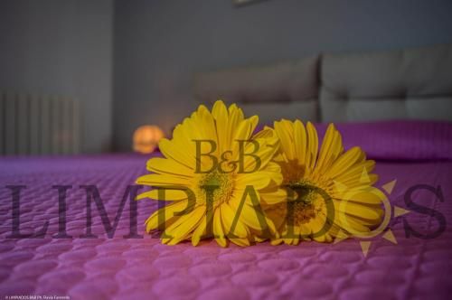 Limpiados Bed and Breakfast