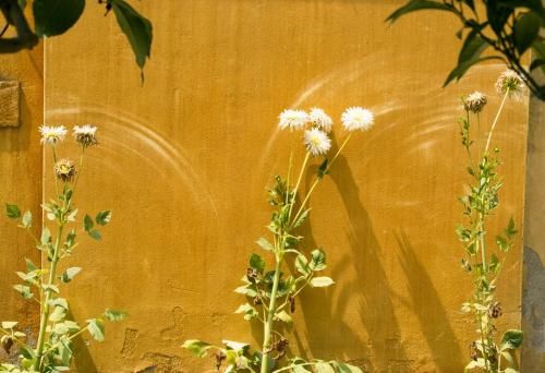 Outdoor Pictures 12