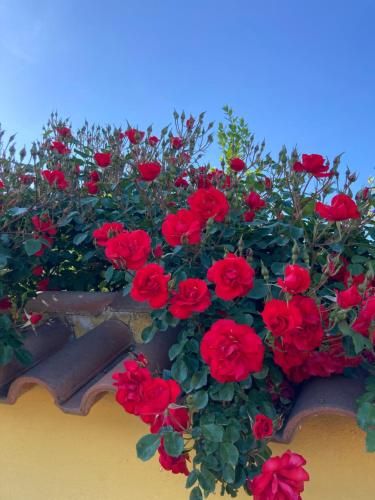 Outdoor Pictures 23