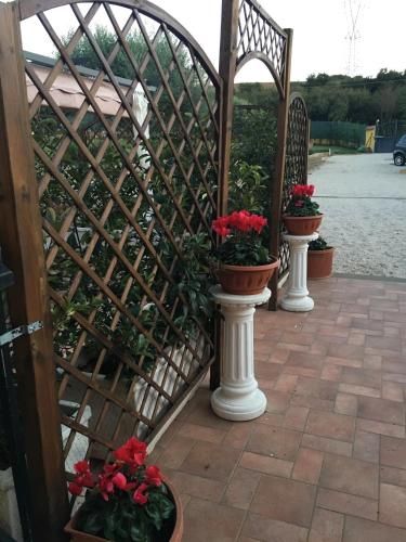Outdoor Pictures 24