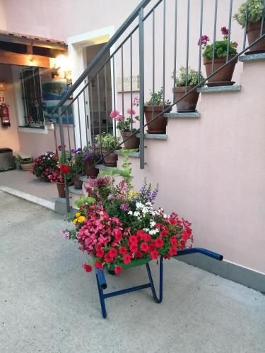 Outdoor Pictures 7