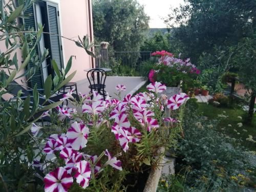 Outdoor Pictures 11