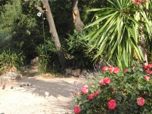 Outdoor Pictures 18