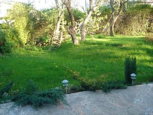Outdoor Pictures 19