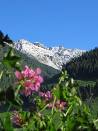 Outdoor Pictures 21
